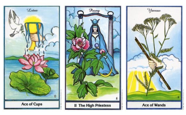 Ace of Cups, High Priestess, Ace of Wands